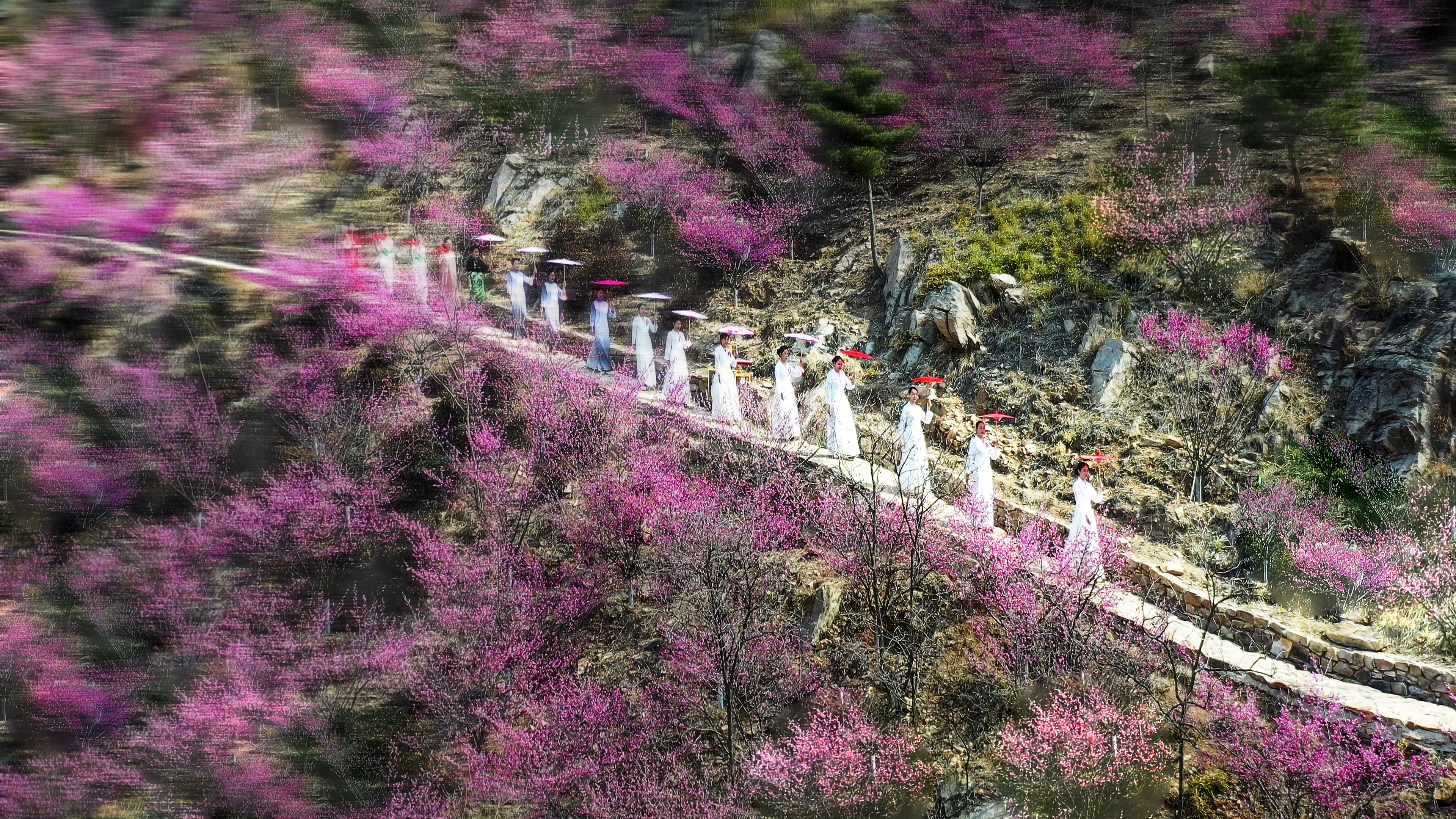 59闵新海《暗香疏影》.jpg