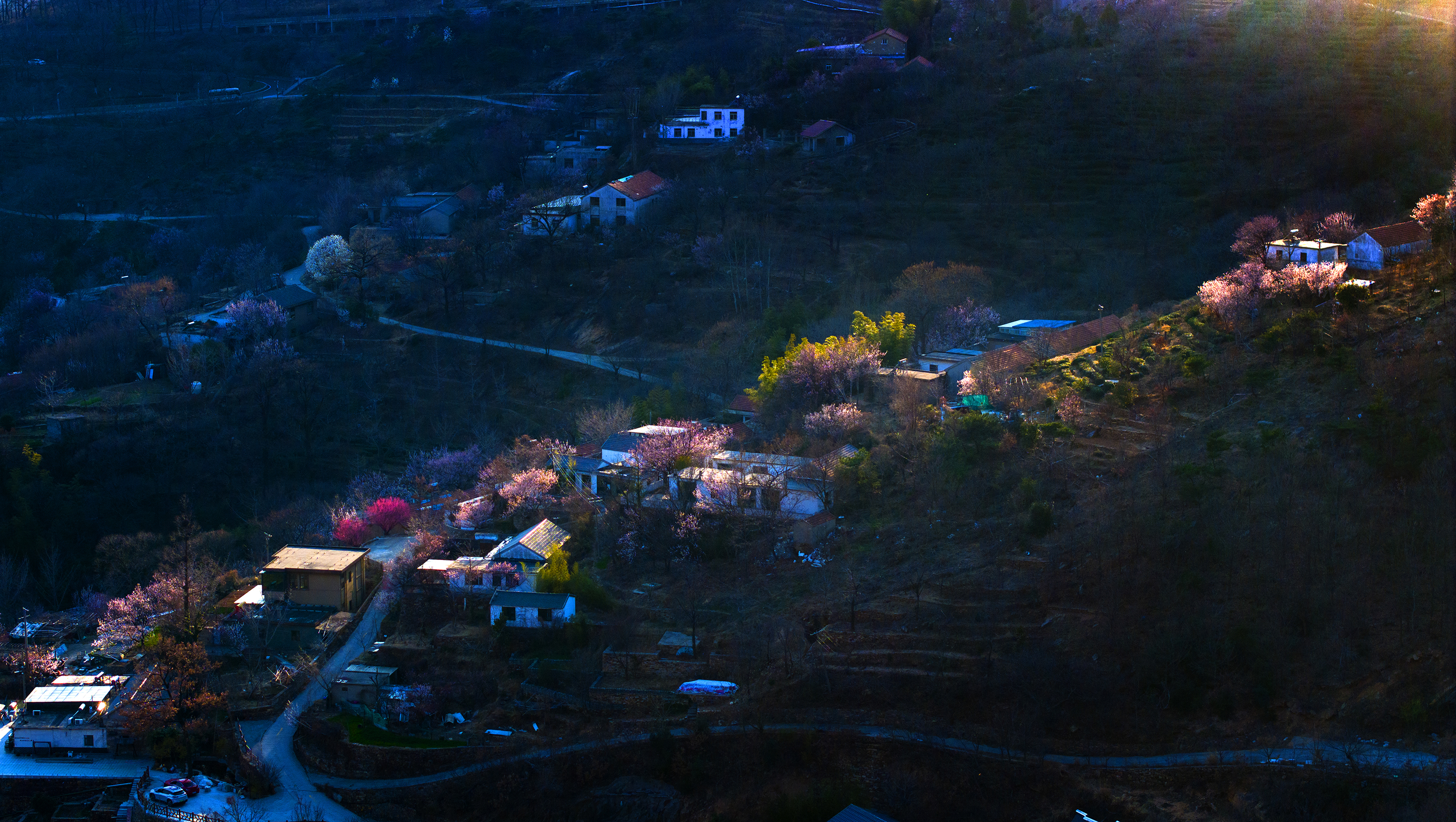 张振平《春满花果山》.jpg