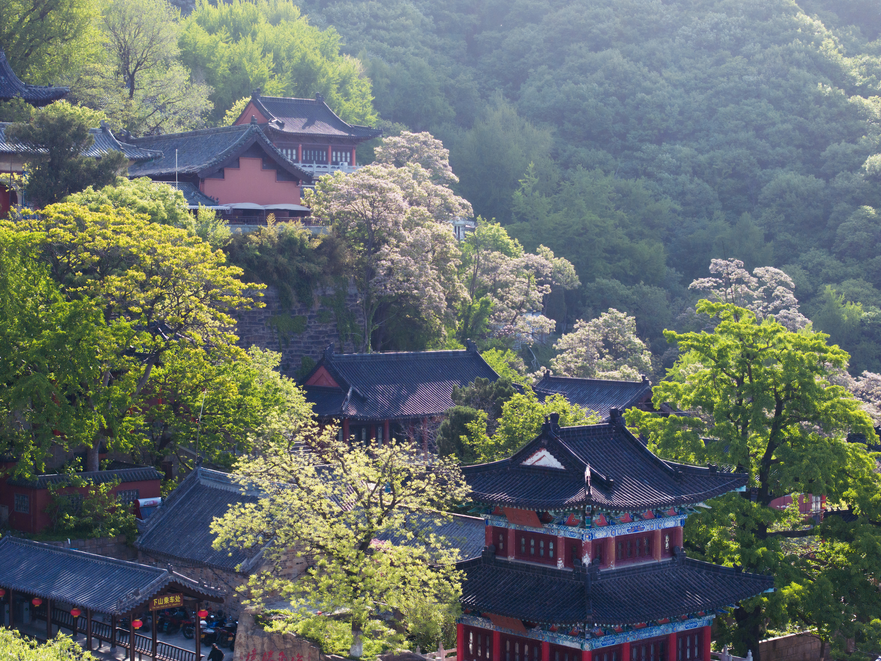 121张言华《古寺禅春》.jpg