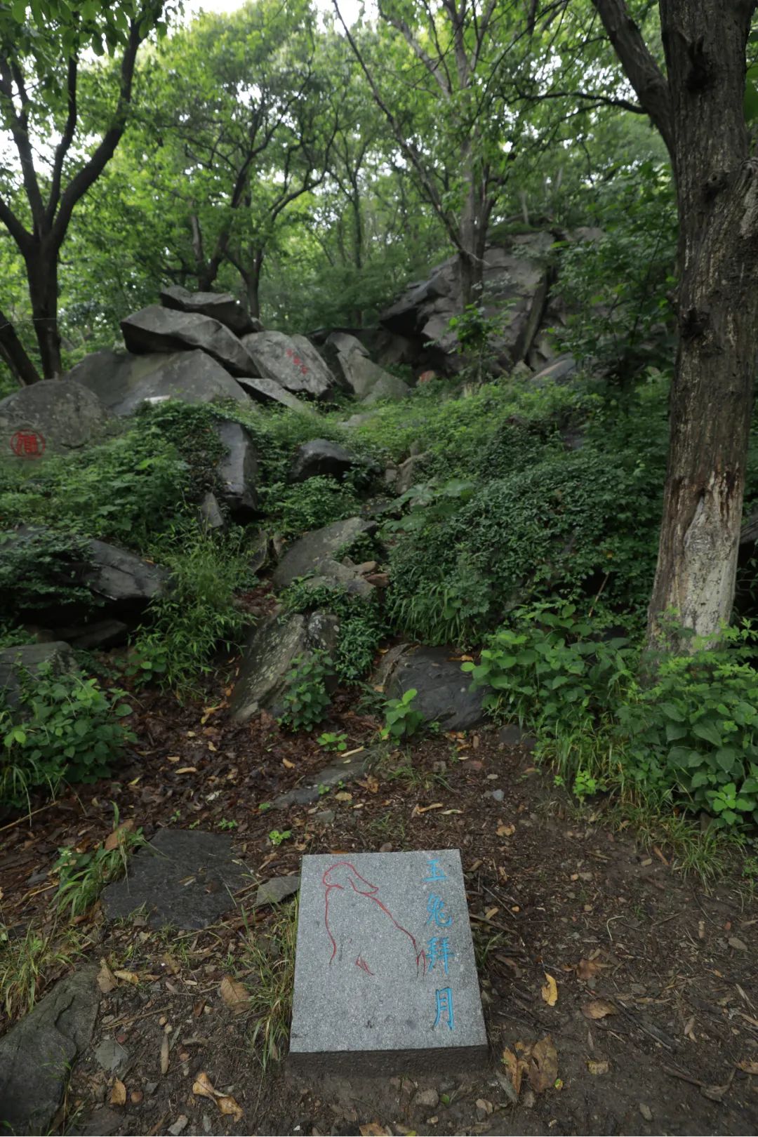 640 (6).jpeg
