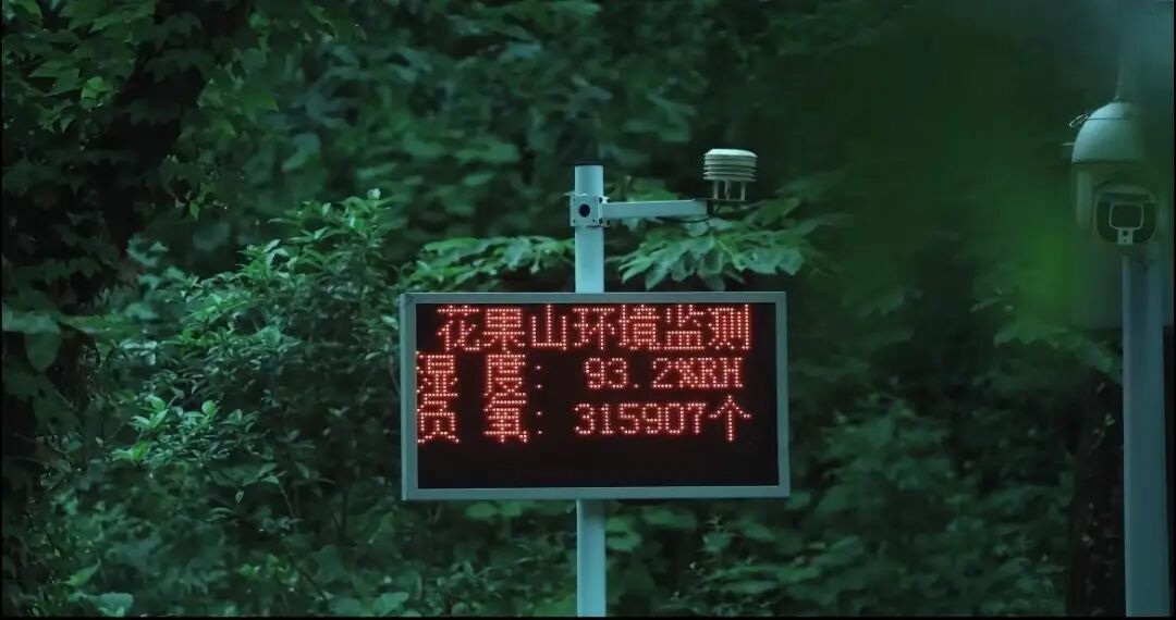 640 (15).jpeg