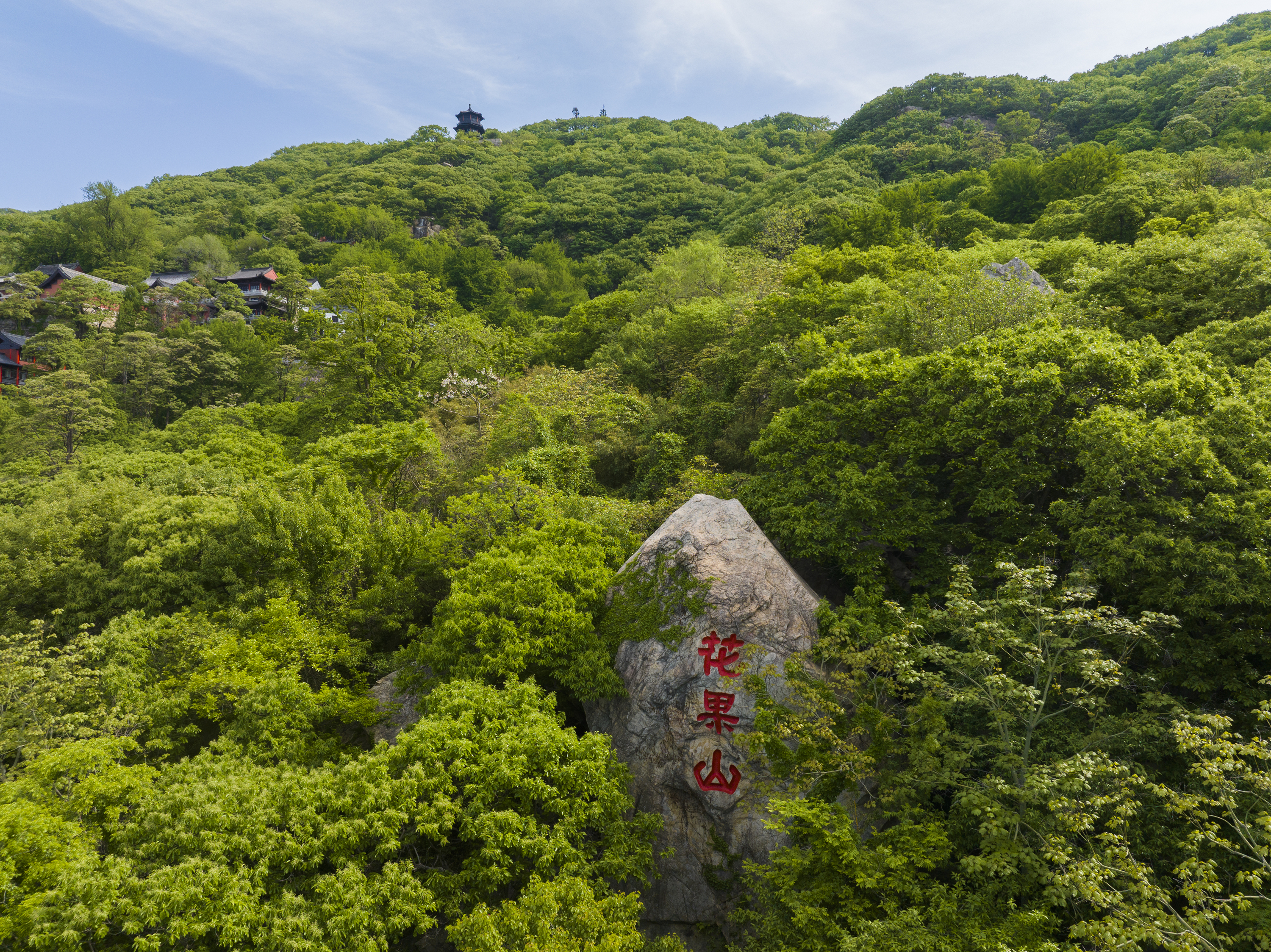121张言华《绿野仙踪花果山》.jpg