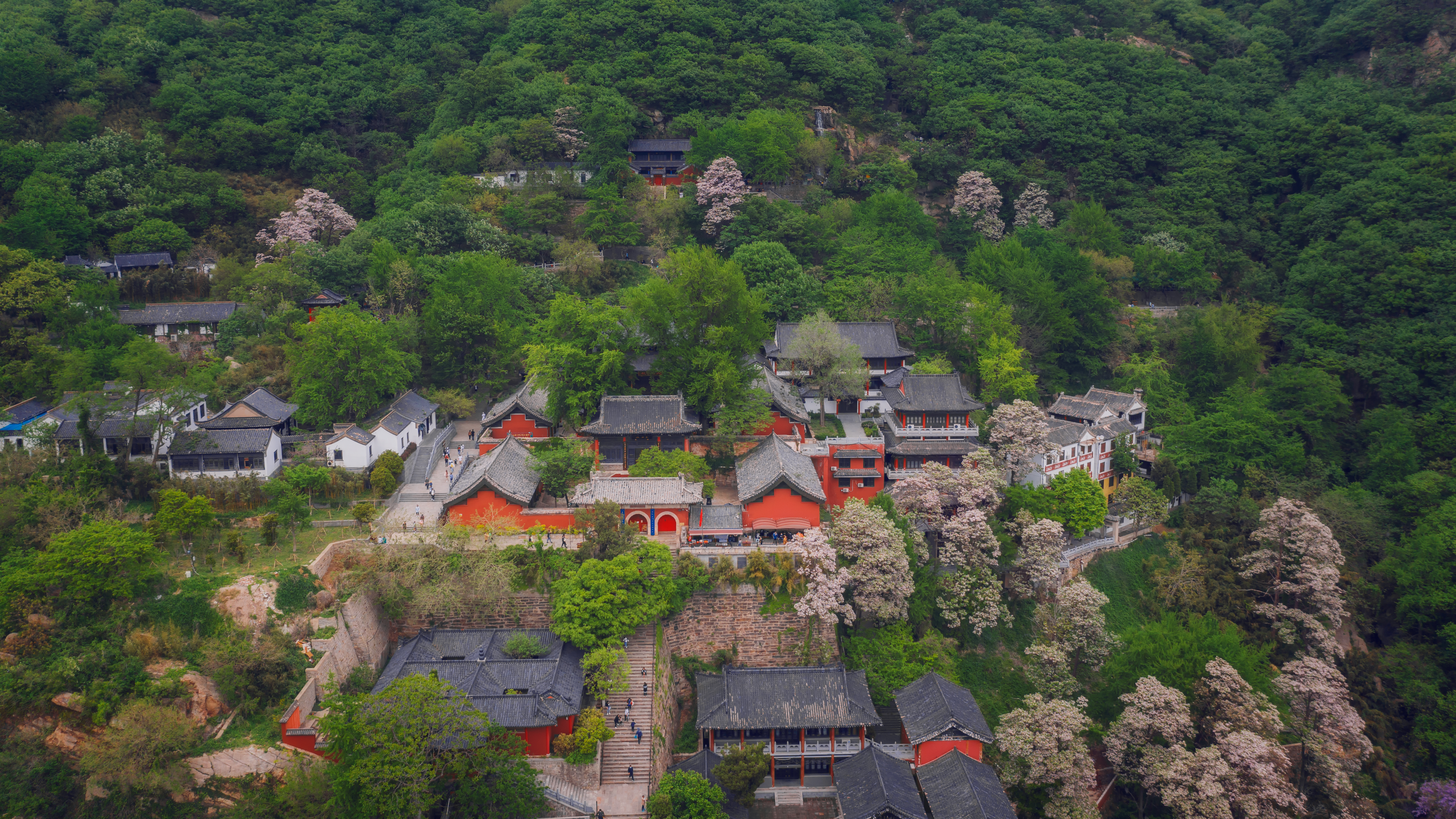 118张海军《楸香漫染花果山》.jpg