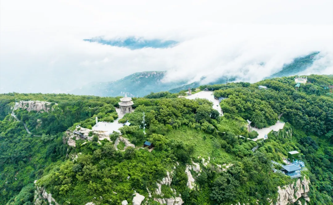 微信图片_2025-08-29_104824_723.png