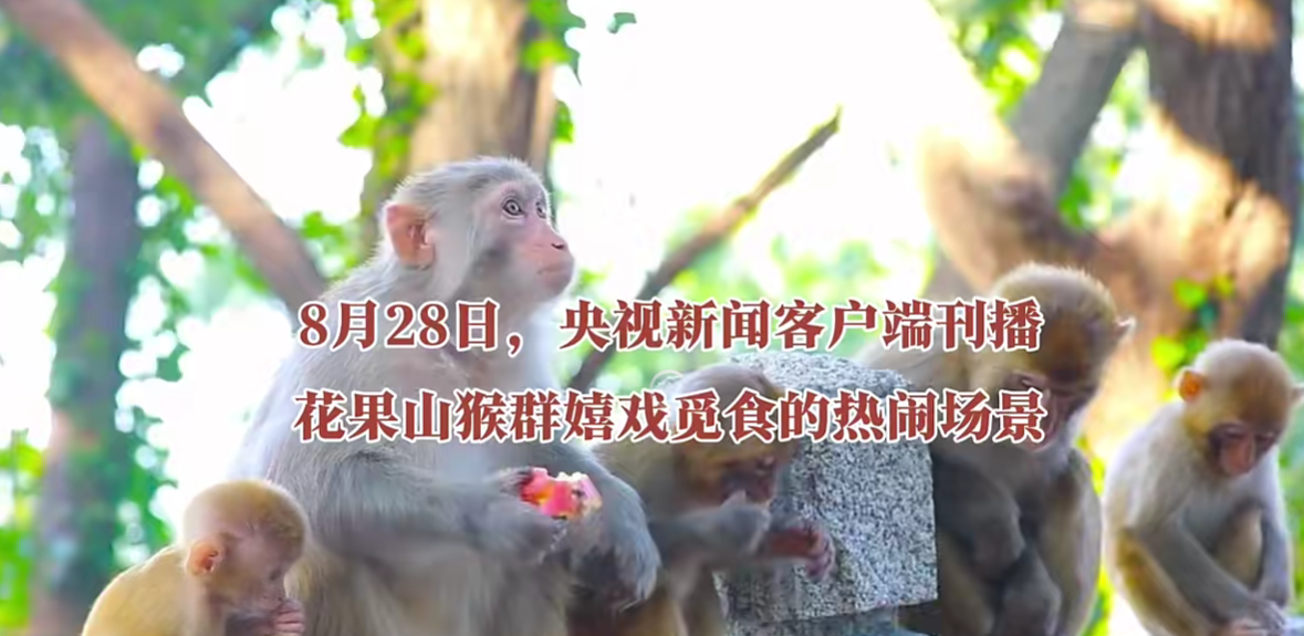 微信图片_20250829103707_296_82.png