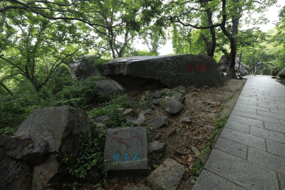 640 (5).jpeg